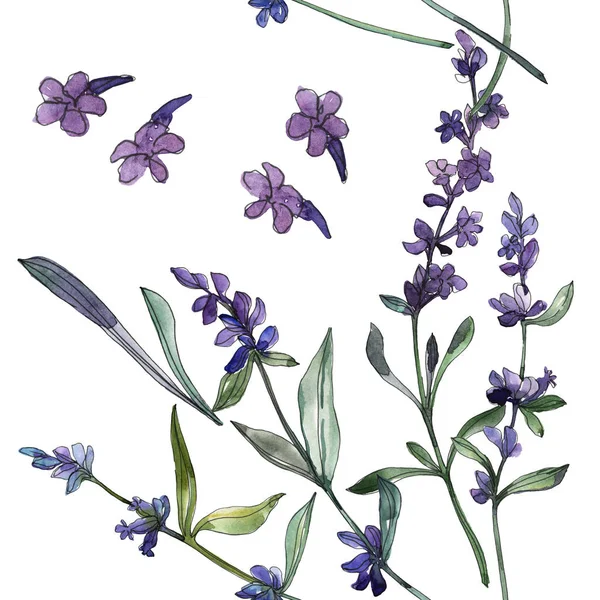 Violet lavendel bloemen botanische bloemen. Aquarel achtergrond illustratie instellen. Naadloos achtergrond patroon. — Stockfoto