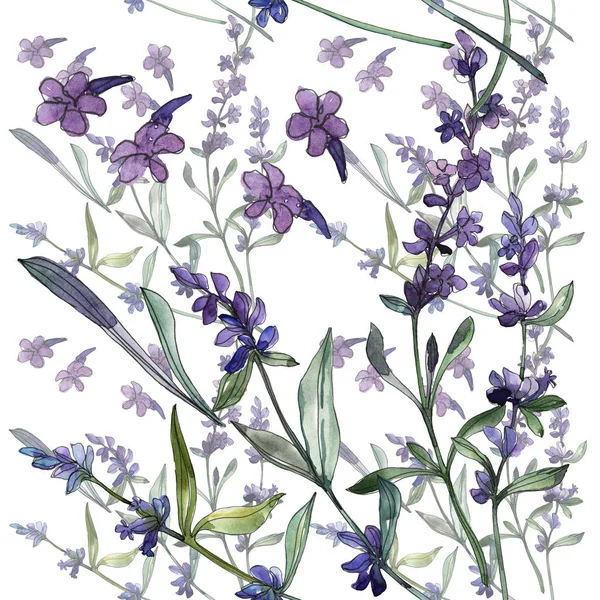 Violet lavendel bloemen botanische bloemen. Aquarel achtergrond illustratie instellen. Naadloos achtergrond patroon. — Stockfoto