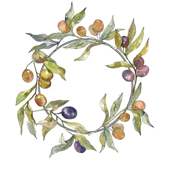 Olive branch with black and green fruit. Watercolor background illustration set. Frame border ornament square. — Stock Photo, Image