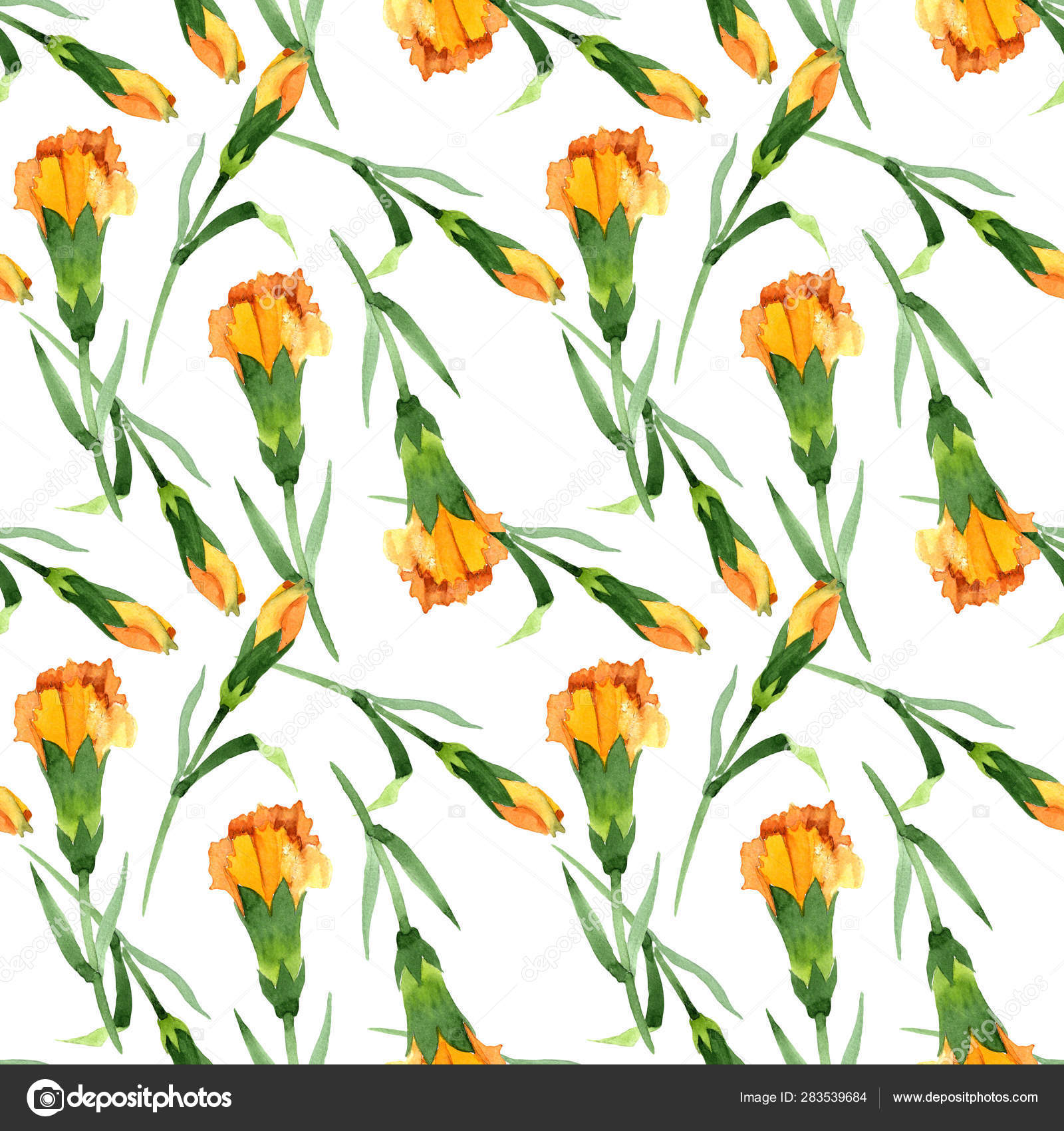 黄色のダイアンサス花植物の花 水彩背景イラストセット シームレス