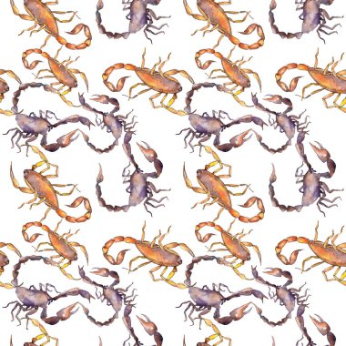Egzotik akrep vahşi böcek izole. Suluboya arka plan illüstrasyon seti. Kesintisiz arka plan deseni.
