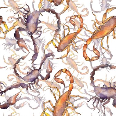 Egzotik akrep vahşi böcek izole. Suluboya arka plan illüstrasyon seti. Kesintisiz arka plan deseni.