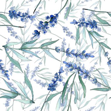 Mavi lavanta çiçek botanik çiçekleri. Suluboya arka plan illüstrasyon seti. Kesintisiz arka plan deseni.