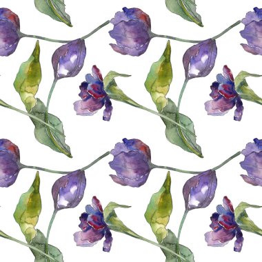Mor lale çiçek botanik çiçekleri. Suluboya arka plan illüstrasyon seti. Kesintisiz arka plan deseni.