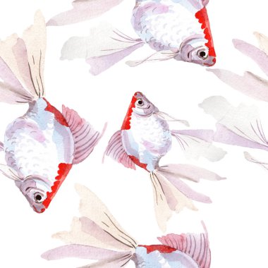 Goldfish sualtı renkli tropikal balık seti. Suluboya illüstrasyon seti. Kesintisiz arka plan deseni.