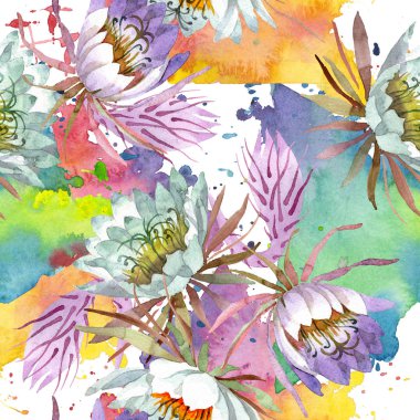 Beyaz epifilofal oxypetallim çiçek botanik çiçekler. Suluboya illüstrasyon seti. Kesintisiz arka plan deseni.