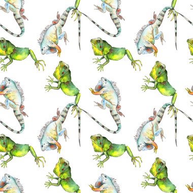 Egzotik iguana vahşi hayvan. Suluboya arka plan illüstrasyon seti. Kesintisiz arka plan deseni.