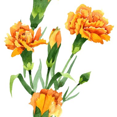 Sarı dianthus çiçek botanik çiçekler. Suluboya arka plan illüstrasyon seti. Kesintisiz arka plan deseni.