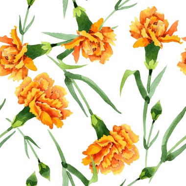 Sarı dianthus çiçek botanik çiçekler. Suluboya arka plan illüstrasyon seti. Kesintisiz arka plan deseni.