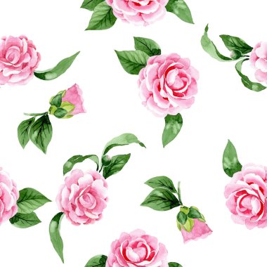 Pembe kamelya çiçek botanik çiçekleri. Suluboya arka plan illüstrasyon seti. Kesintisiz arka plan deseni.
