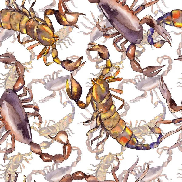 Exotische Scorpion Wild insect geïsoleerd. Aquarel achtergrond illustratie instellen. Naadloos achtergrond patroon. — Stockfoto