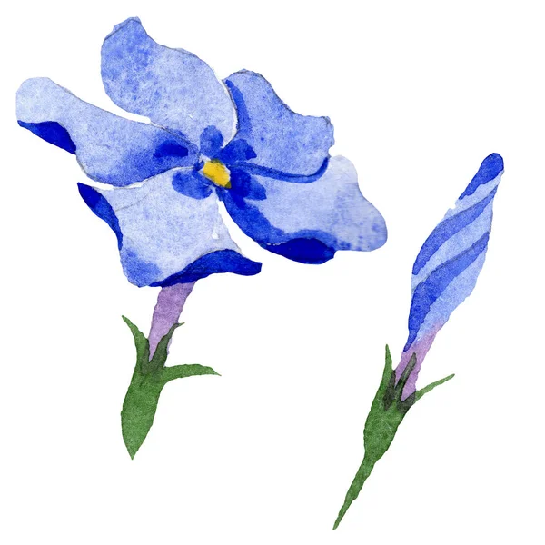 Phlox 花卉植物花。水彩背景插图集。隔离的 phlox 插图元素. — 图库照片
