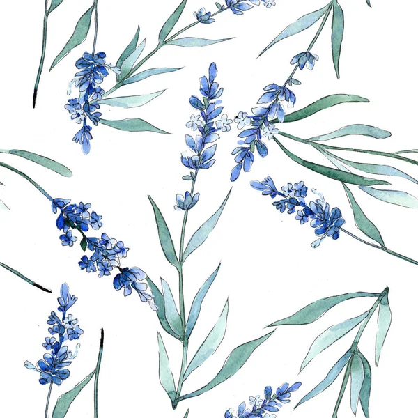 Fiori botanici floreali di lavanda blu. Acquerello sfondo illustrazione set. Modello di sfondo senza soluzione di continuità . — Foto Stock