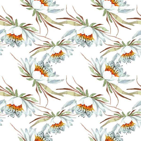 Witte epiphillum oxypetallim Floral botanische bloemen. Aquarel illustratie set. Naadloos achtergrond patroon. — Stockfoto