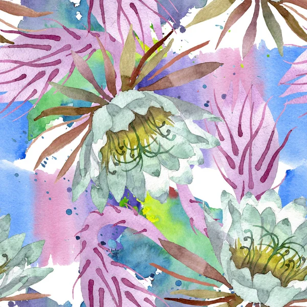 백색 에피필럼 옥시페탈림 꽃 식물성. 수채화 일러스트 세트입니다. 원활한 배경 패턴. — 스톡 사진