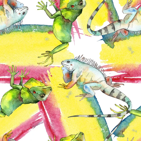 Iguana esotica animale selvatico. Acquerello sfondo illustrazione set. Modello di sfondo senza soluzione di continuità . — Foto Stock