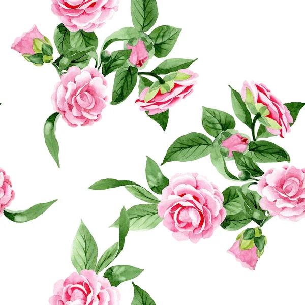 Rosa camelia fiori botanici floreali. Acquerello sfondo illustrazione set. Modello di sfondo senza soluzione di continuità . — Foto Stock