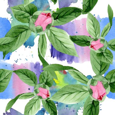 Pembe kamelya çiçek botanik çiçekleri. Suluboya arka plan illüstrasyon seti. Kesintisiz arka plan deseni.