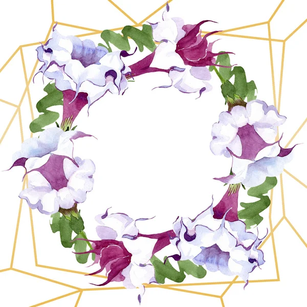 Brugmansia flores botânicas florais. Conjunto de ilustração de fundo aquarela. Quadro borda ornamento quadrado . — Fotografia de Stock