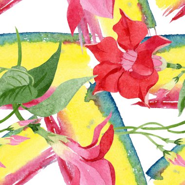 Kırmızı dipladenia çiçek botanik çiçekler. Suluboya arka plan illüstrasyon seti. Kesintisiz arka plan deseni.