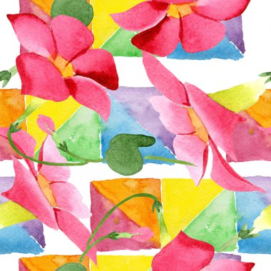 Kırmızı dipladenia çiçek botanik çiçekler. Suluboya arka plan illüstrasyon seti. Kesintisiz arka plan deseni.