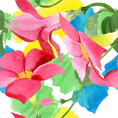 Kırmızı dipladenia çiçek botanik çiçekler. Suluboya arka plan illüstrasyon seti. Kesintisiz arka plan deseni.
