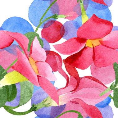 Kırmızı dipladenia çiçek botanik çiçekler. Suluboya arka plan illüstrasyon seti. Kesintisiz arka plan deseni.