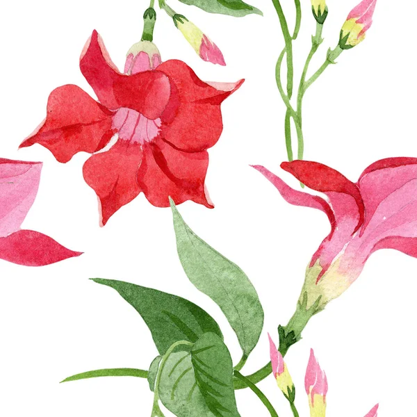 Rode dipladenia bloemen botanische bloemen. Aquarel achtergrond illustratie instellen. Naadloos achtergrond patroon. — Stockfoto