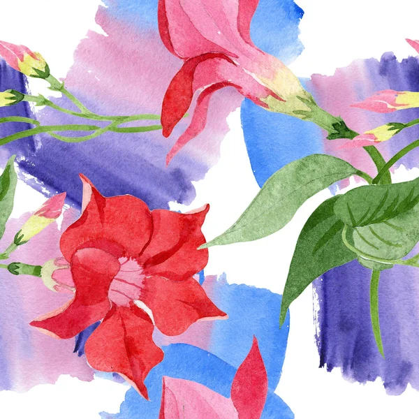 Kırmızı dipladenia çiçek botanik çiçekler. Suluboya arka plan illüstrasyon seti. Kesintisiz arka plan deseni.