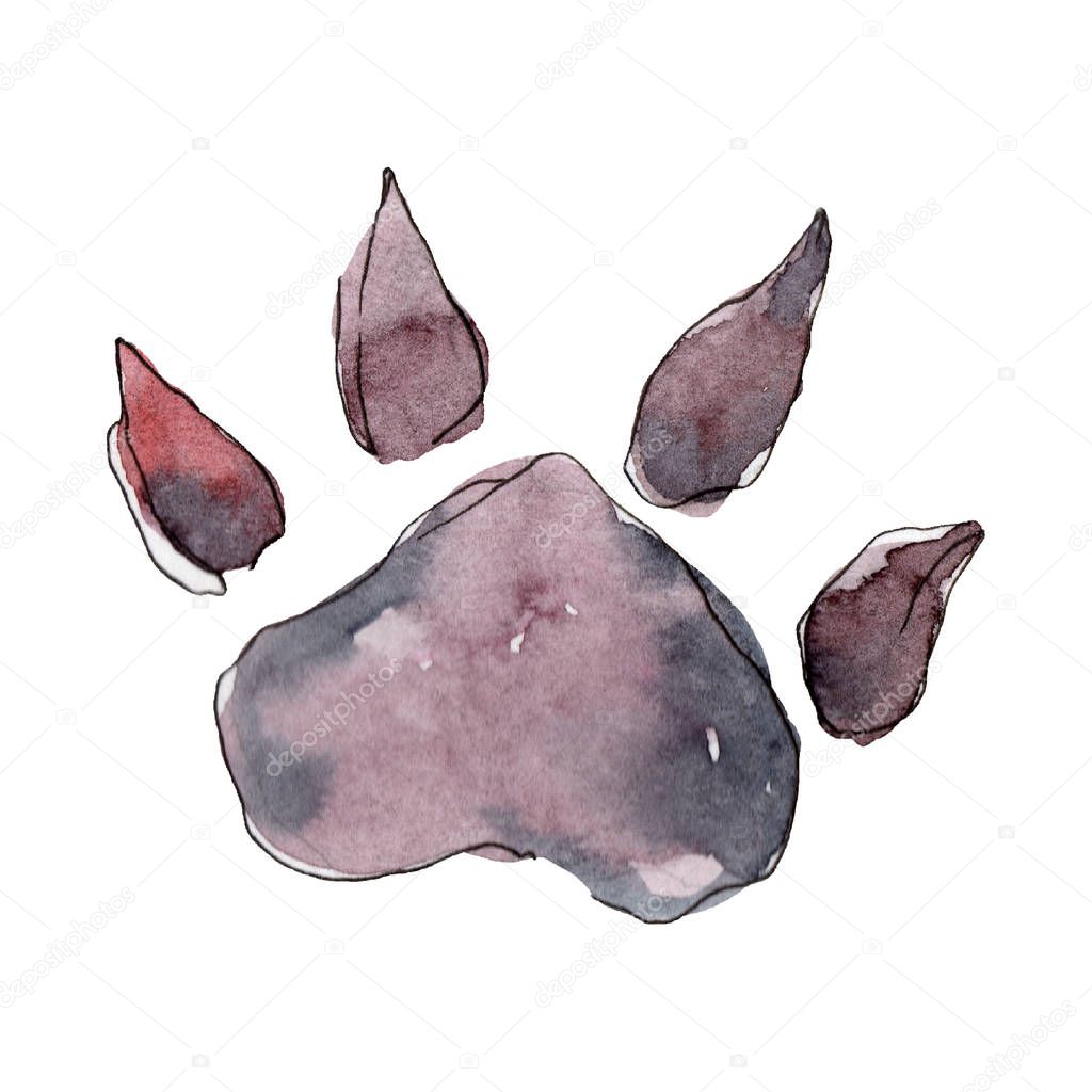 Dog footprint pet animal isolated. Watercolor background illustration set. Isolated dogs illustration element.