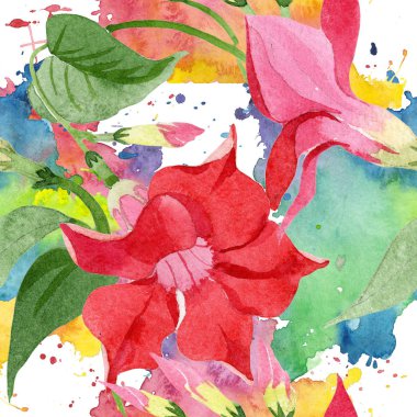 Kırmızı dipladenia çiçek botanik çiçekler. Suluboya arka plan illüstrasyon seti. Kesintisiz arka plan deseni.