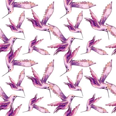 Bir yaban hayatı izole gökyüzü kuş colibri. Suluboya arka plan illüstrasyon seti. Kesintisiz arka plan deseni.
