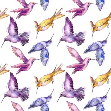 Bir yaban hayatı izole gökyüzü kuş colibri. Suluboya arka plan illüstrasyon seti. Kesintisiz arka plan deseni.