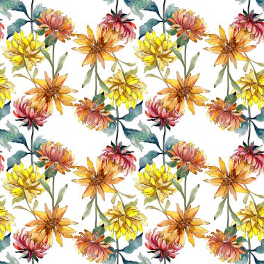 Aster çiçek botanik çiçekler. Suluboya arka plan illüstrasyon seti. eamless arka plan deseni.