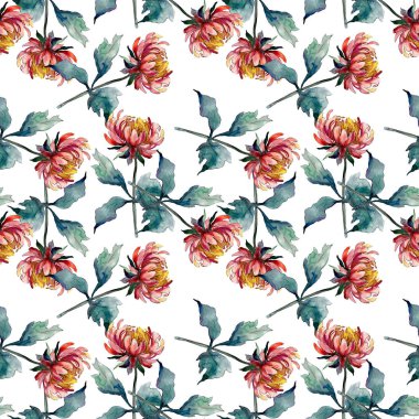 Aster çiçek botanik çiçekler. Suluboya arka plan illüstrasyon seti. eamless arka plan deseni.