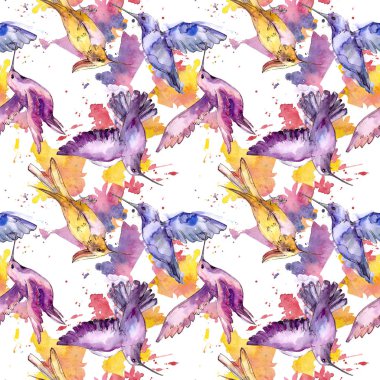 Bir yaban hayatı izole gökyüzü kuş colibri. Suluboya arka plan illüstrasyon seti. Kesintisiz arka plan deseni.