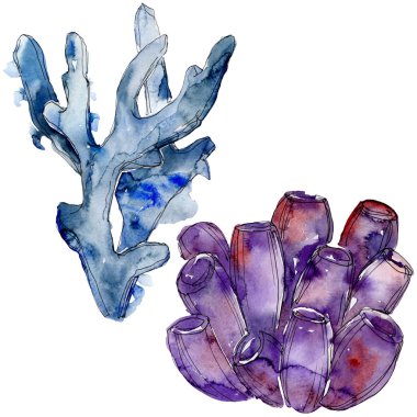 Renkli su altı doğa mercan resifi. Suluboya arka plan seti. İzole mercanlar illüstrasyon elemanı.