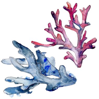 Renkli su altı doğa mercan resifi. Suluboya arka plan seti. İzole mercanlar illüstrasyon elemanı.