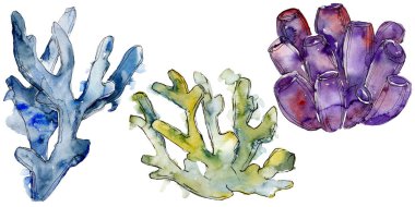 Renkli su altı doğa mercan resifi. Suluboya arka plan seti. İzole mercanlar illüstrasyon elemanı.