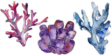 Renkli su altı doğa mercan resifi. Suluboya arka plan seti. İzole mercanlar illüstrasyon elemanı.