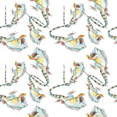 Egzotik iguana vahşi hayvan. Suluboya arka plan illüstrasyon seti. Kesintisiz arka plan deseni.