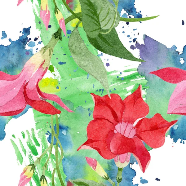 Kırmızı dipladenia çiçek botanik çiçekler. Suluboya arka plan illüstrasyon seti. Kesintisiz arka plan deseni.