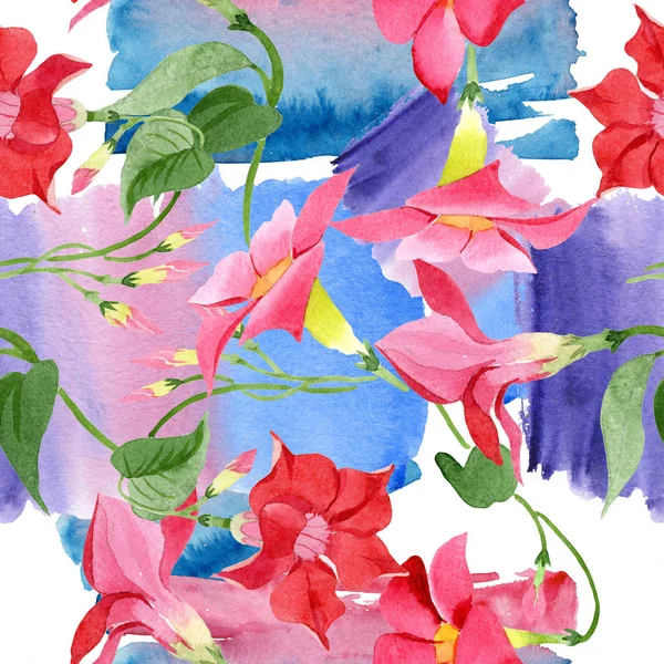 Röd dipladenia blommiga botaniska blommor. Akvarell bakgrund illustration uppsättning. Sömlöst bakgrundsmönster. — Stockfoto