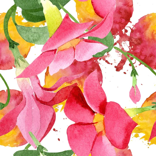 赤いディパーデニアの花の植物の花。●水彩背景イラストセット。シームレスな背景パターン. — ストック写真