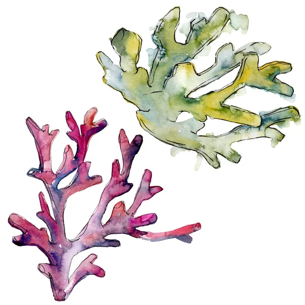 Kleurrijke aquatische onderwaternatuur Coral Reef. Aquarel achtergrond set. Geïsoleerde koralen illustratie element. — Stockfoto