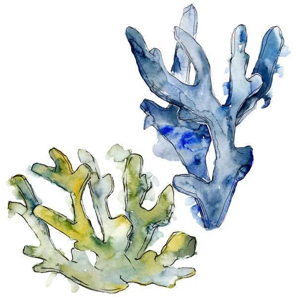 Colorida naturaleza acuática submarina arrecife de coral. Conjunto de fondo acuarela. Elemento ilustrativo de corales aislados . — Foto de Stock