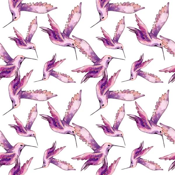 Bir yaban hayatı izole gökyüzü kuş colibri. Suluboya arka plan illüstrasyon seti. Kesintisiz arka plan deseni.