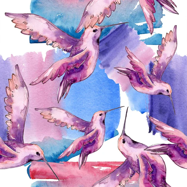 Sky bird colibri in a wildlife isolated. Ensemble d'illustration de fond aquarelle. Modèle de fond sans couture . — Photo