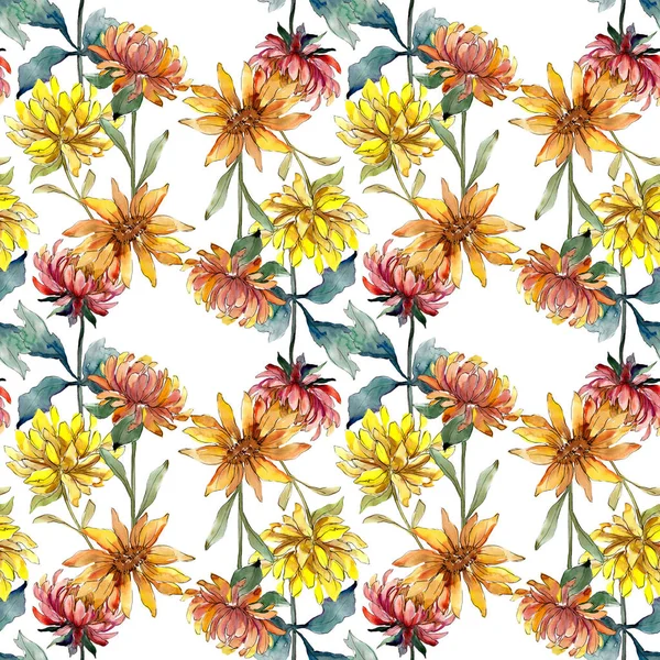 Aster çiçek botanik çiçekler. Suluboya arka plan illüstrasyon seti. eamless arka plan deseni.