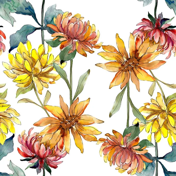 Aster flores botánicas florales. Conjunto de ilustración de fondo acuarela. patrón de fondo sin complicaciones . — Foto de Stock